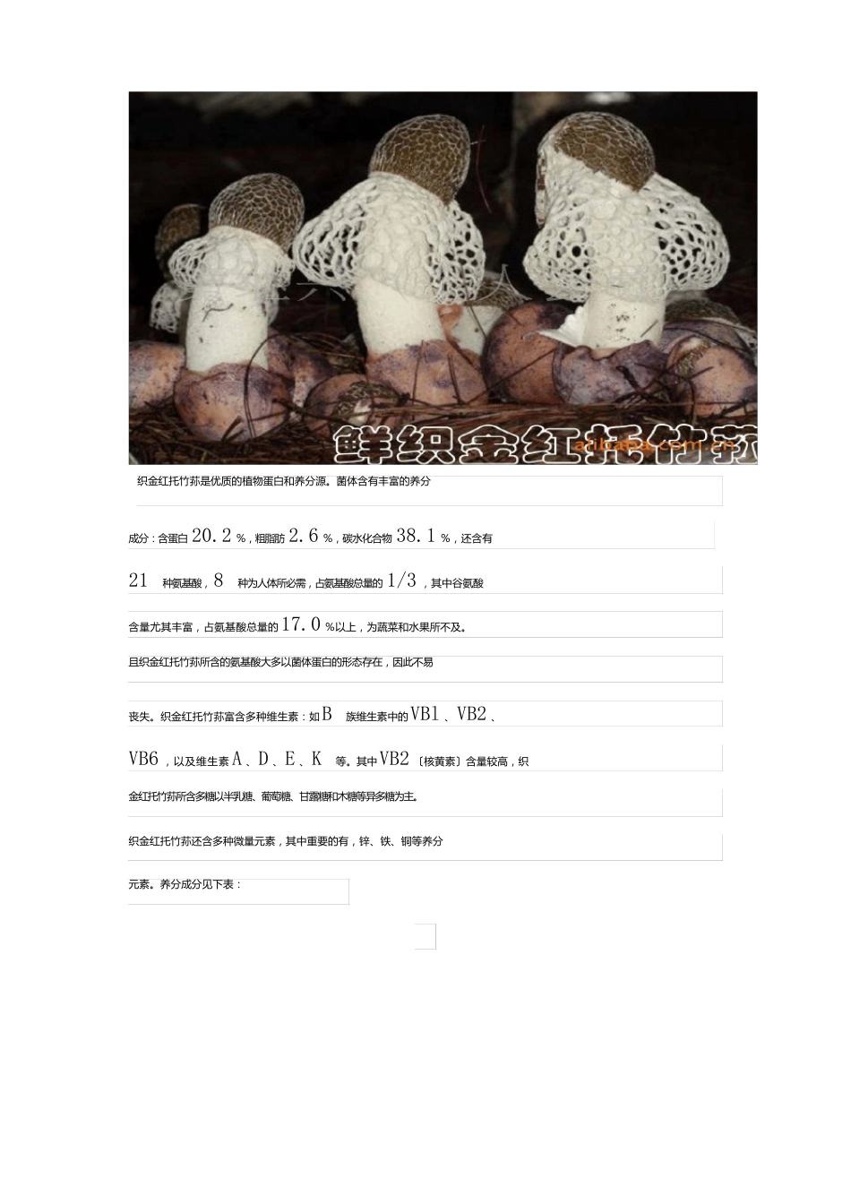 贵州织金红托竹荪_第3页