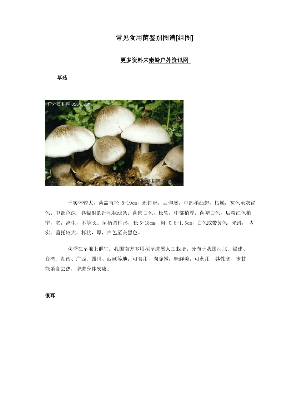 常见食用菌鉴别图谱_第1页