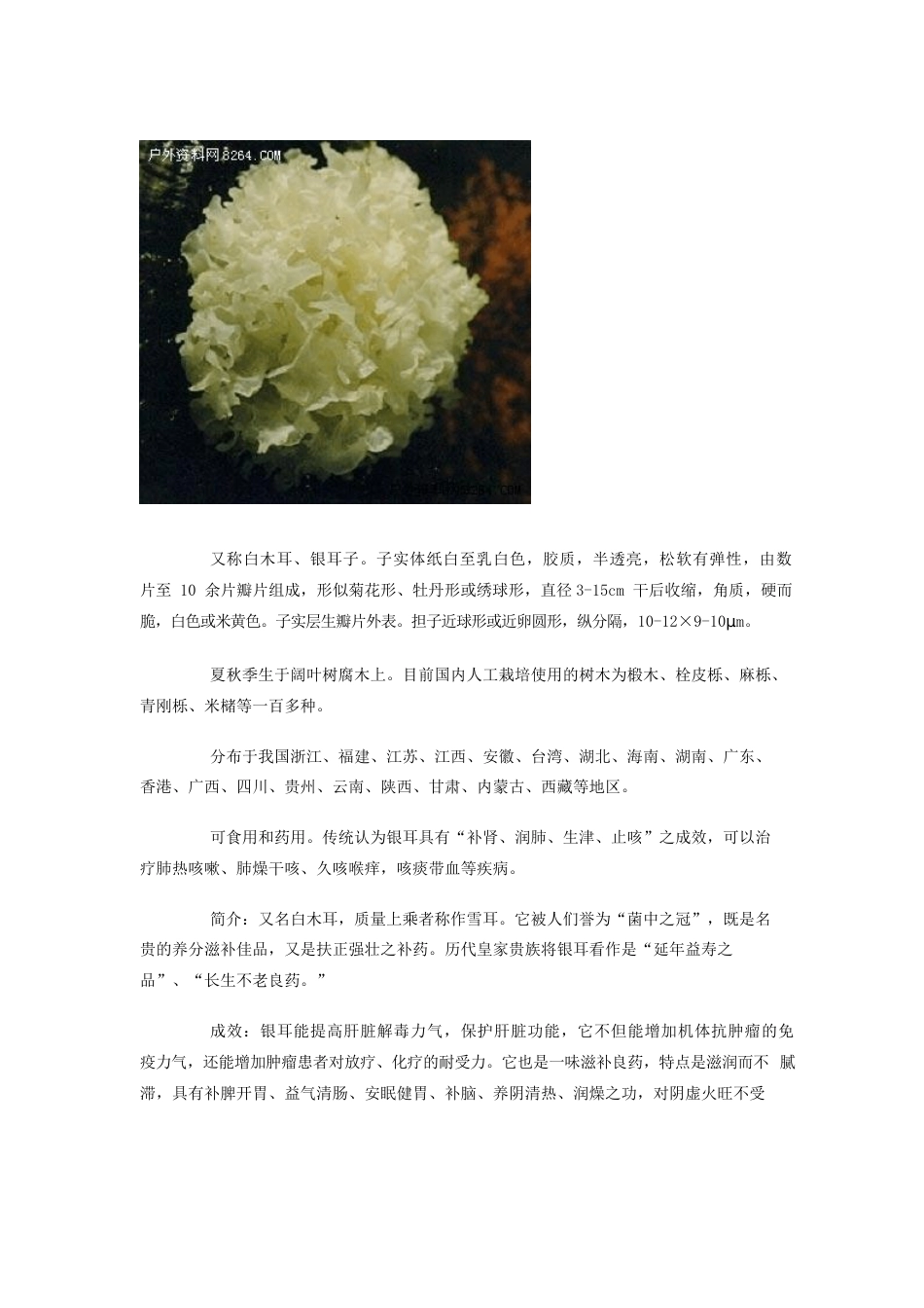 常见食用菌鉴别图谱_第2页