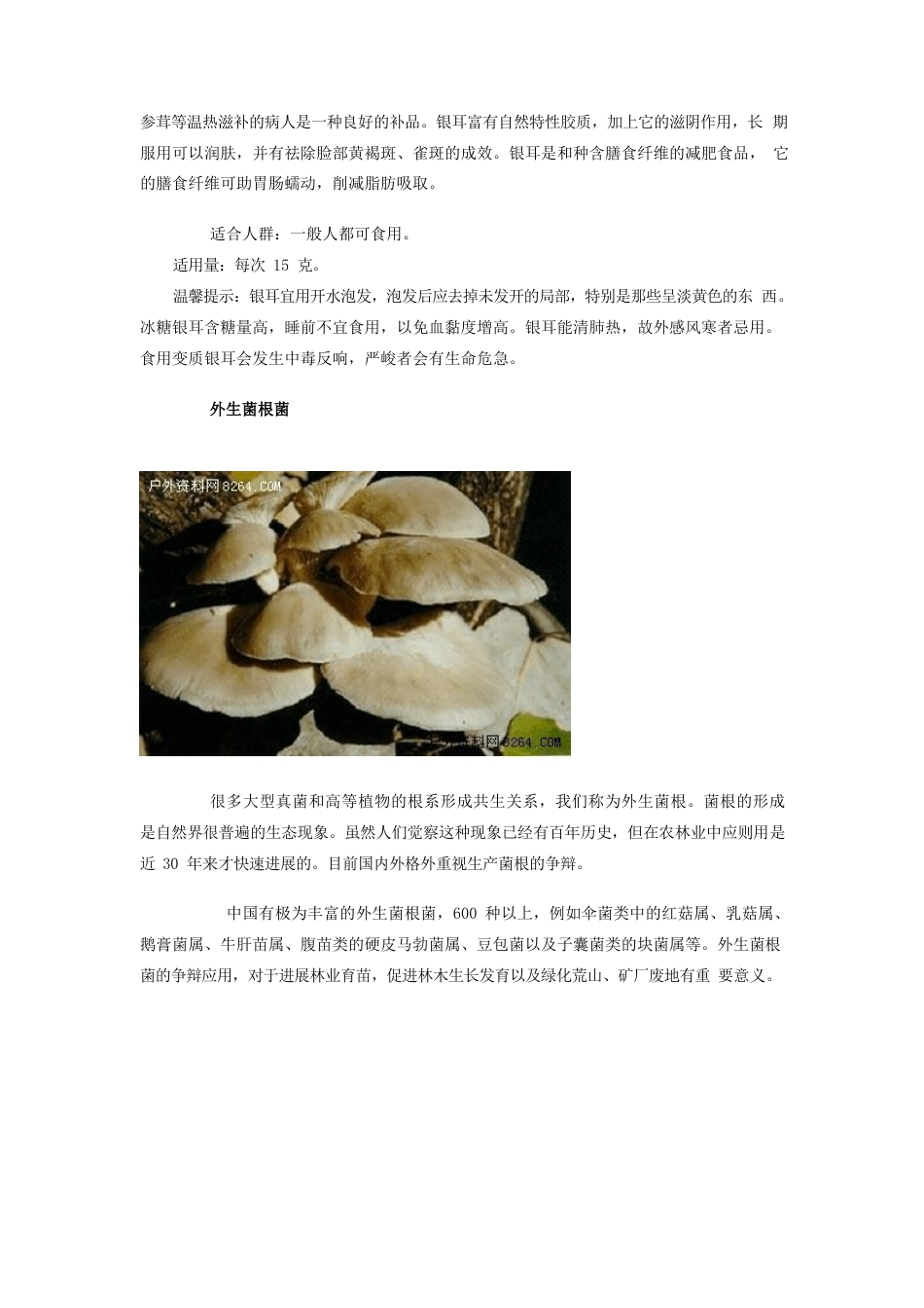 常见食用菌鉴别图谱_第3页