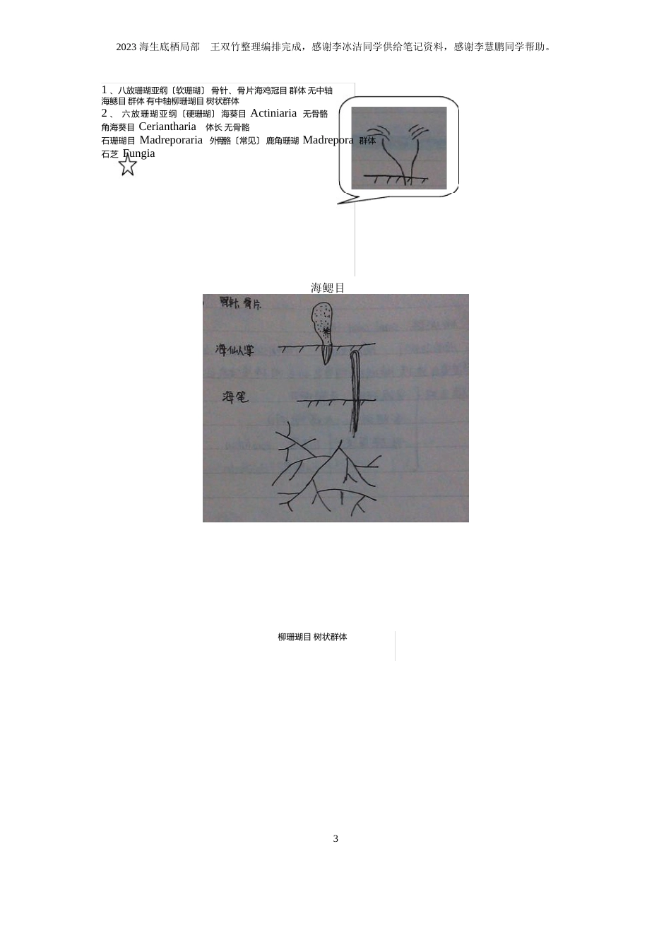 海洋生物学底栖部分解析_第3页