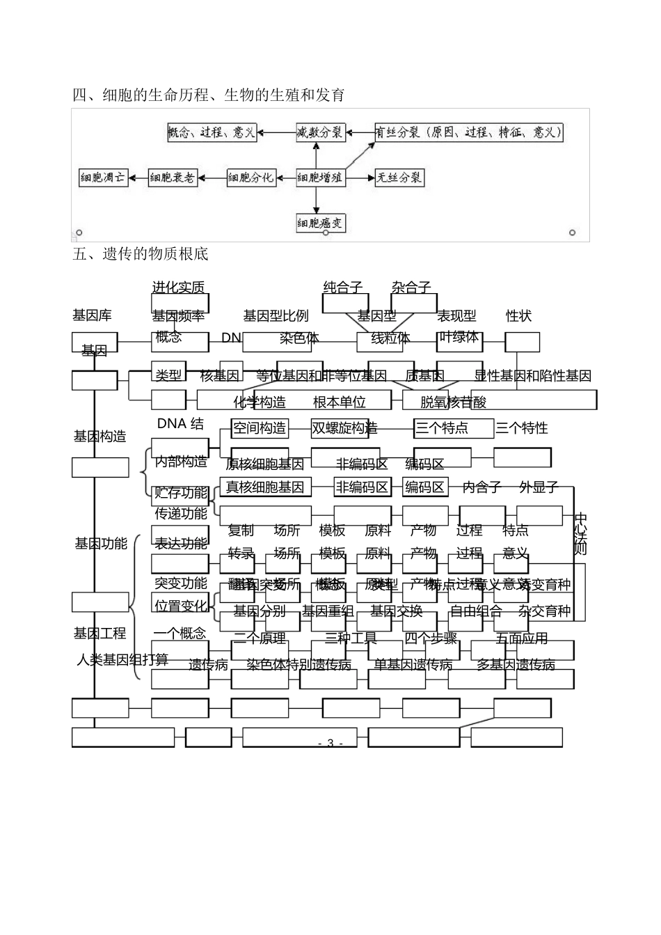 高中生物知识体系框架图_第3页