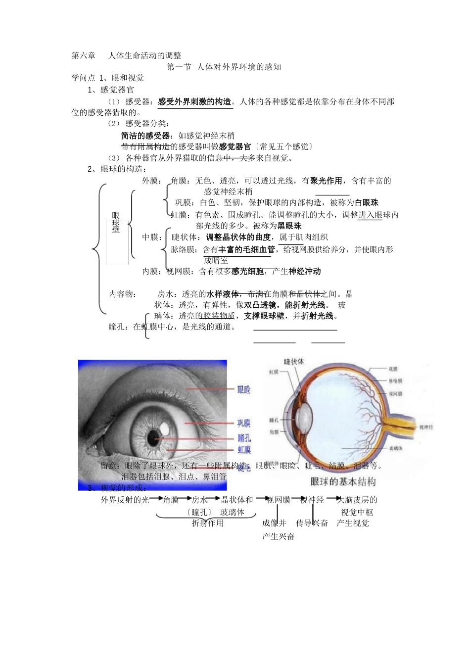 人体生命活动的调节知识点提纲_第1页