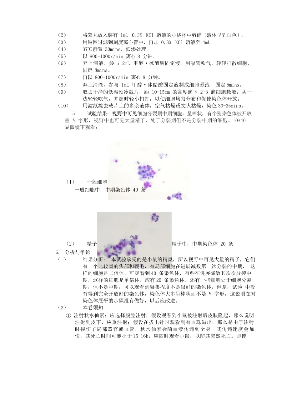 染色体标本的制备及组型观察实验报告_第3页