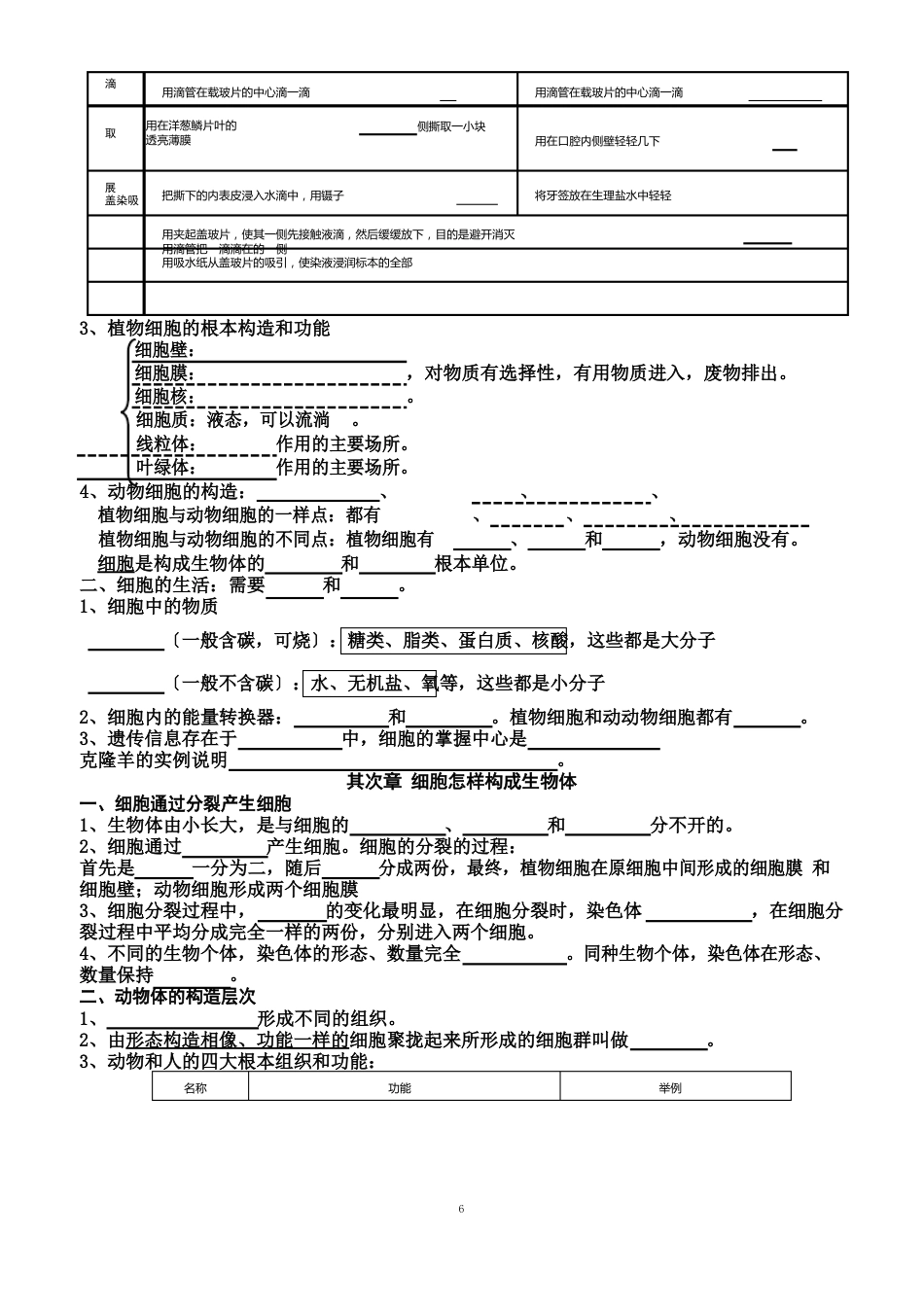 人教版七年级生物上册知识点填空式专项练习(无答案)_第3页