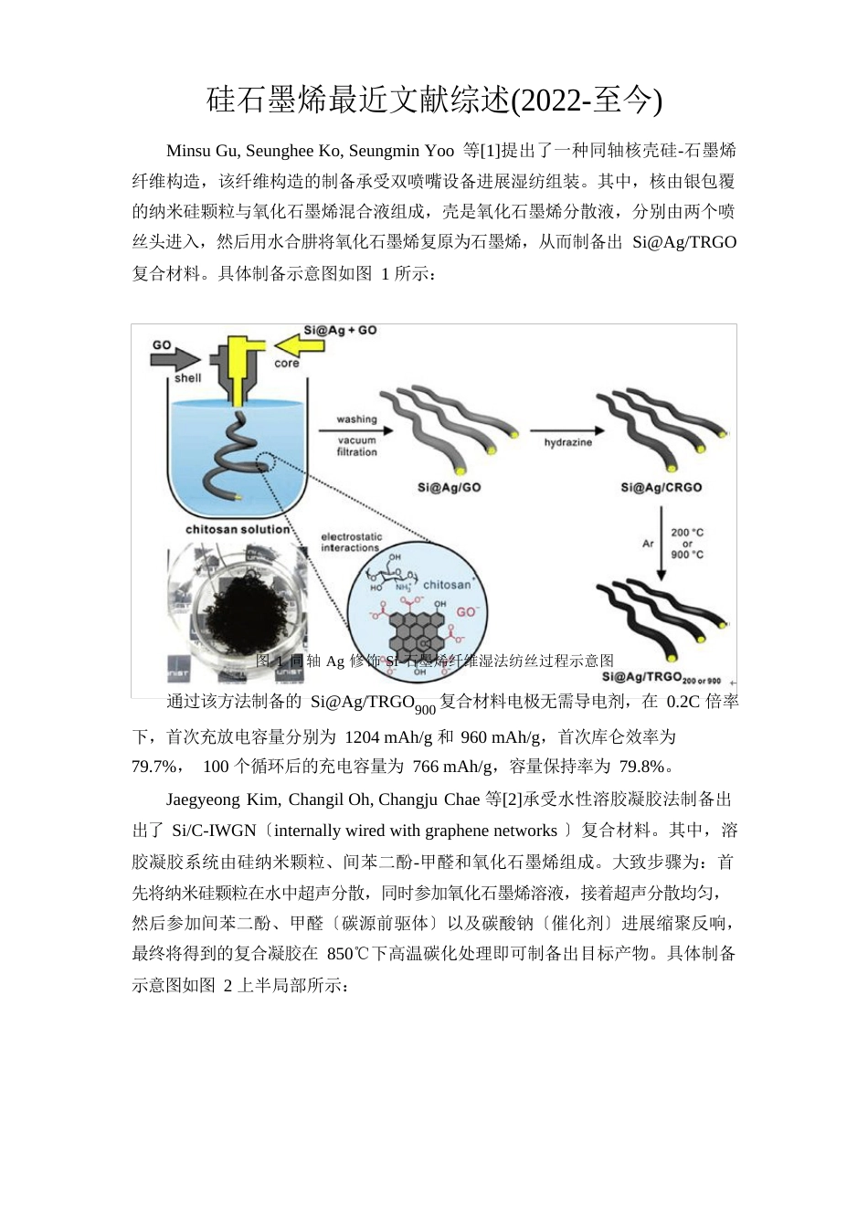 硅石墨烯负极材料最近文献综述_第1页