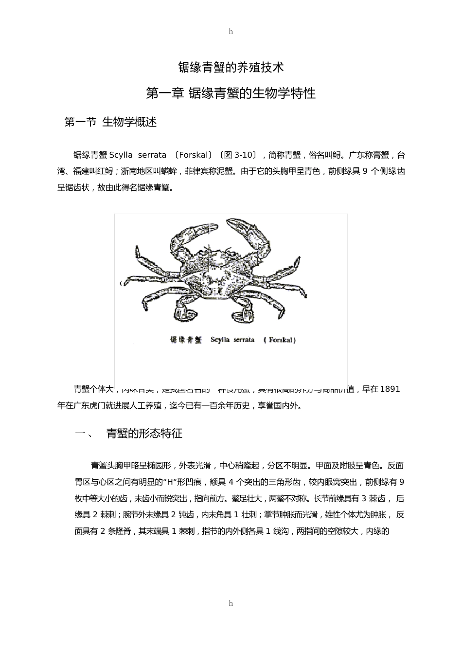 锯缘青蟹及养殖技术_第1页