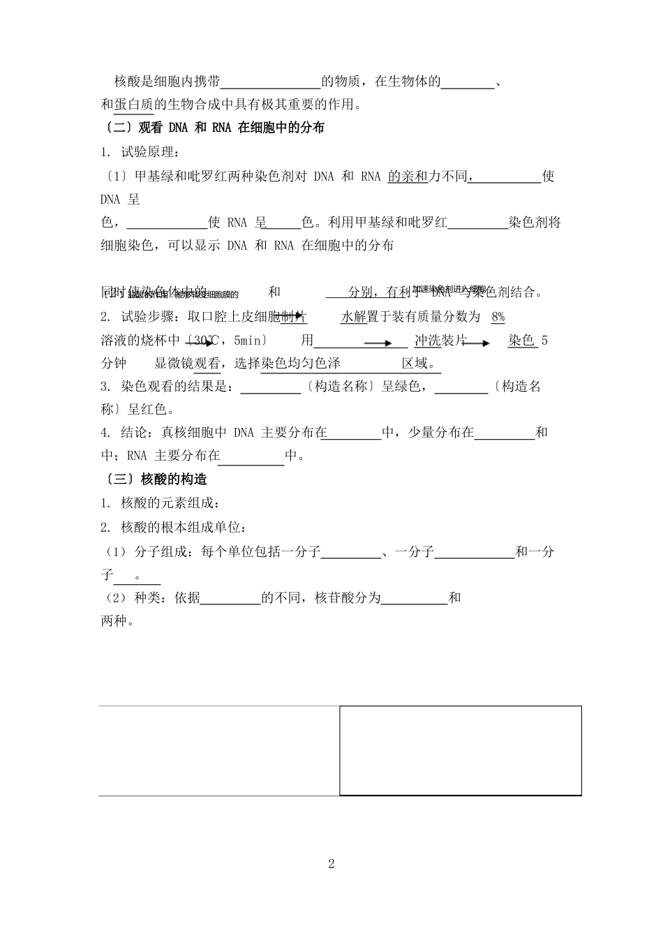 《遗传信息的携带者——核酸》教学设计_第3页