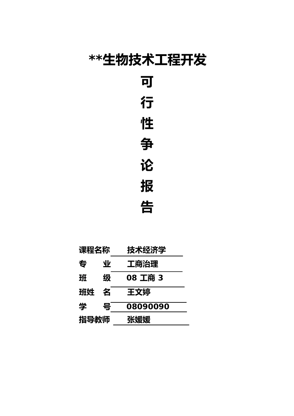 可行性研究报告范例_第1页