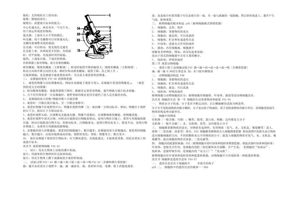 生物学七年级上册复习提纲_第2页