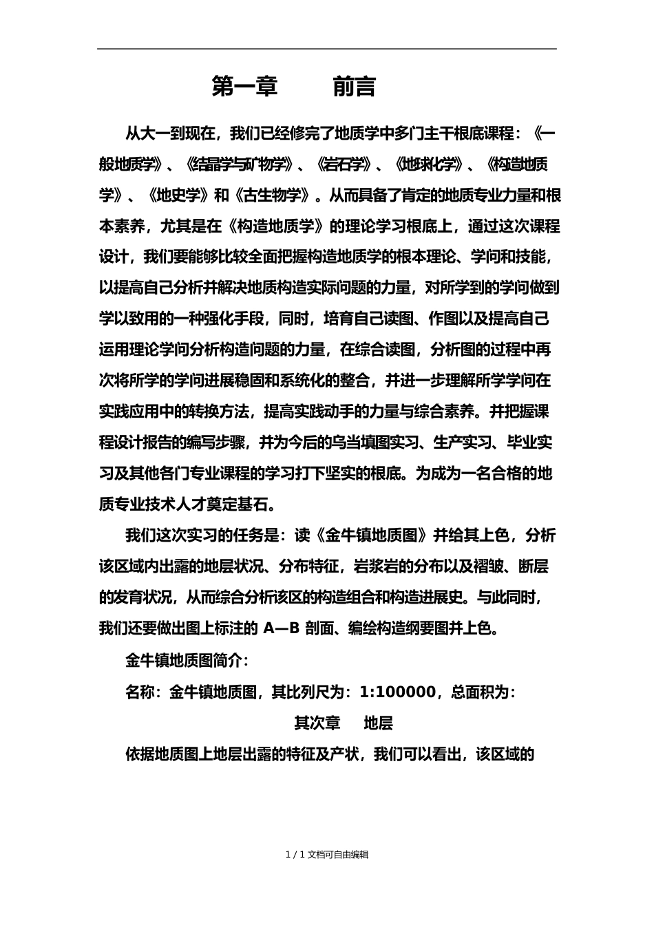 金牛镇地质报告_第1页