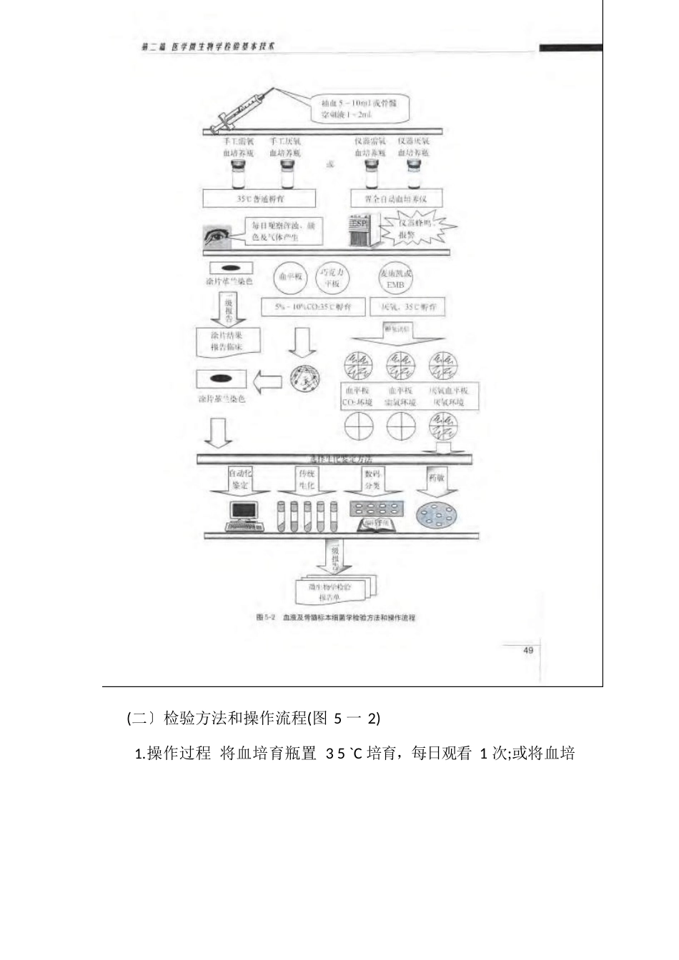 临床标本的细菌学检验_第2页