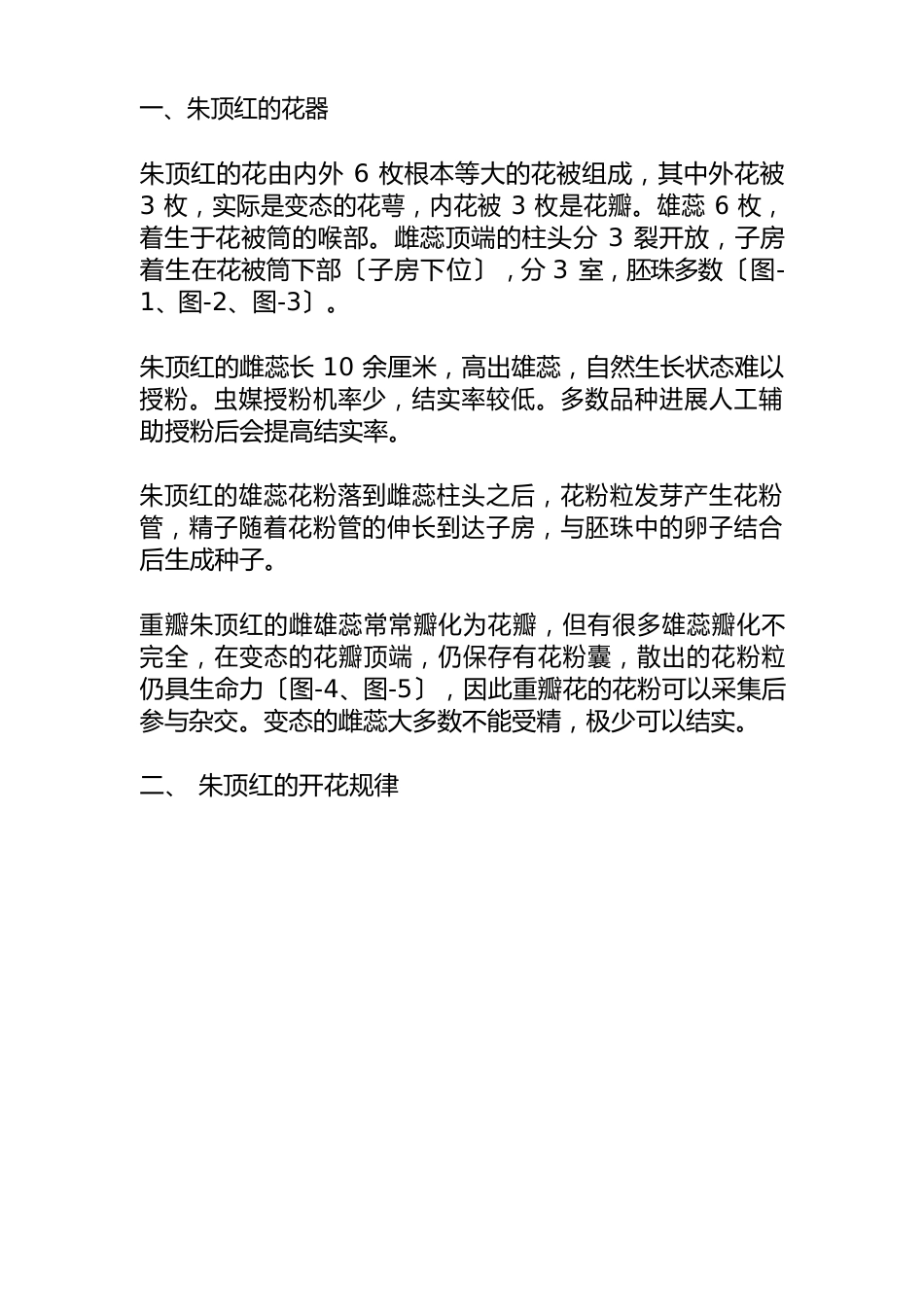 朱顶红杂交育种_第2页