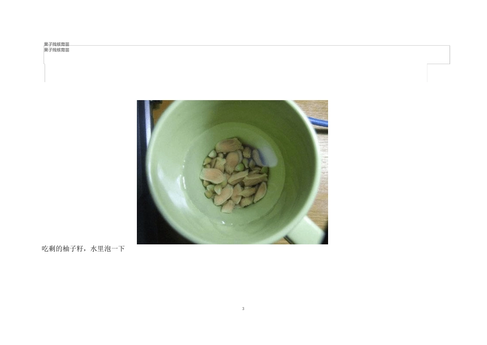 果子残核育苗_第1页