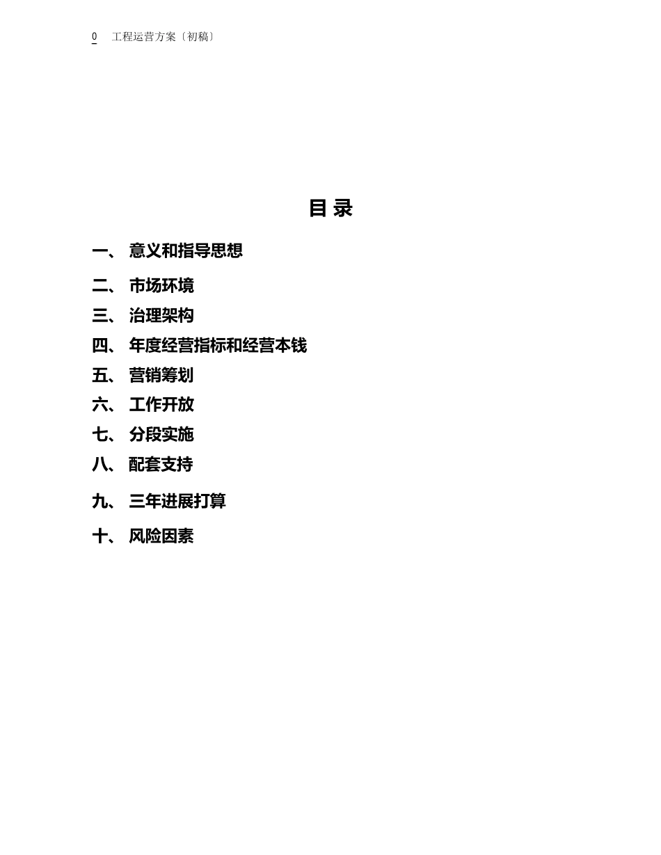 项目运营方案_第1页