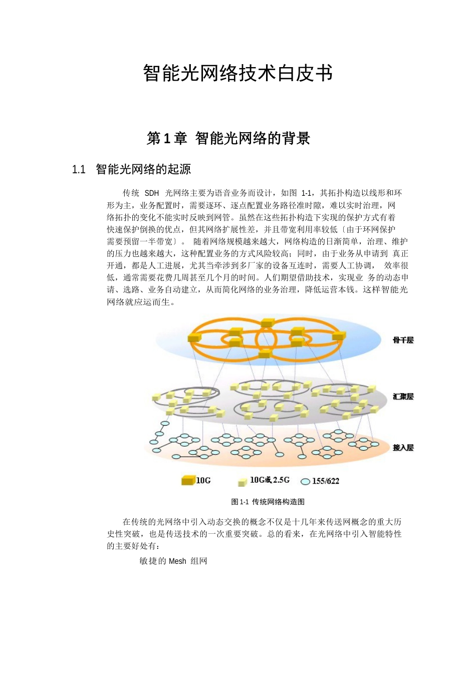 智能光网络技术白皮书_第1页