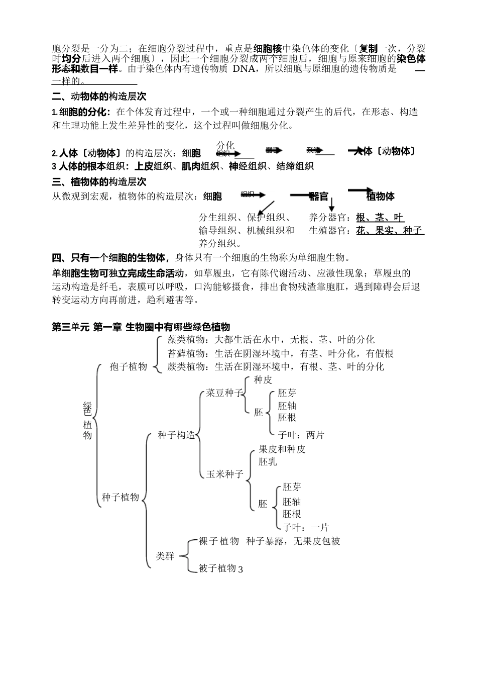 部编人教版七年级生物上册期末必考知识点梳理_第3页