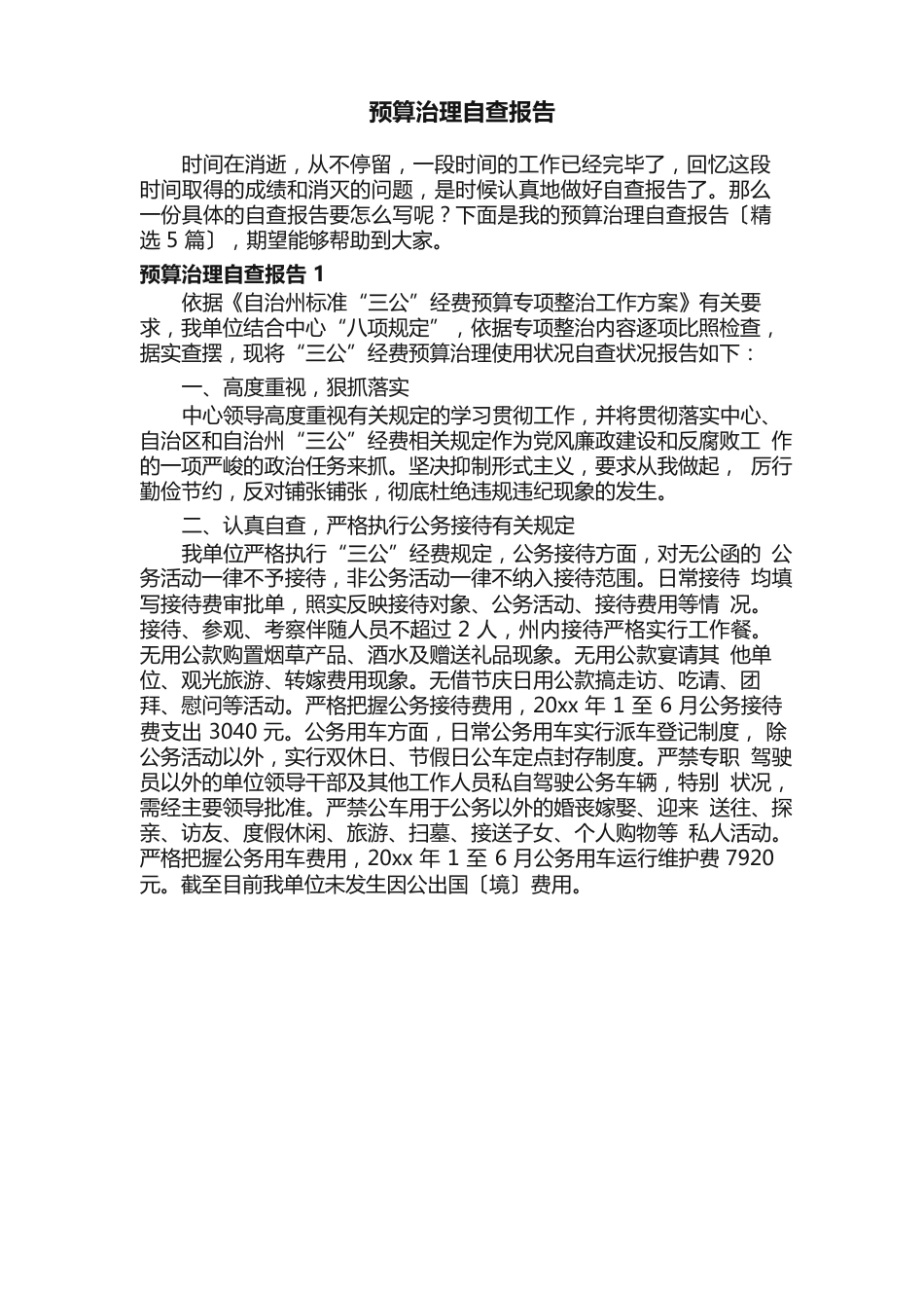 预算管理自查报告（5篇）_第1页