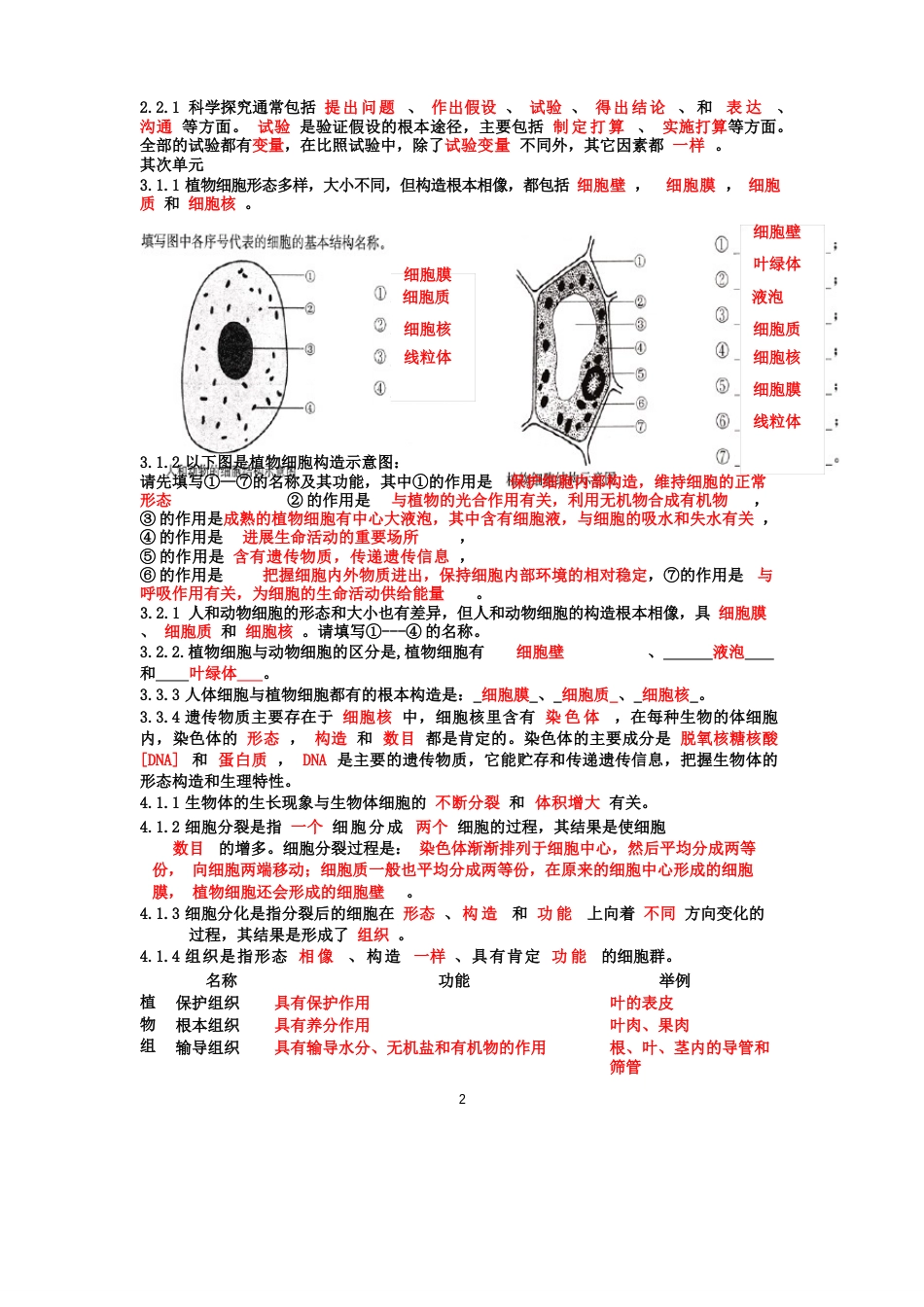 七年级生物(苏教版)上学期知识点总结_第2页