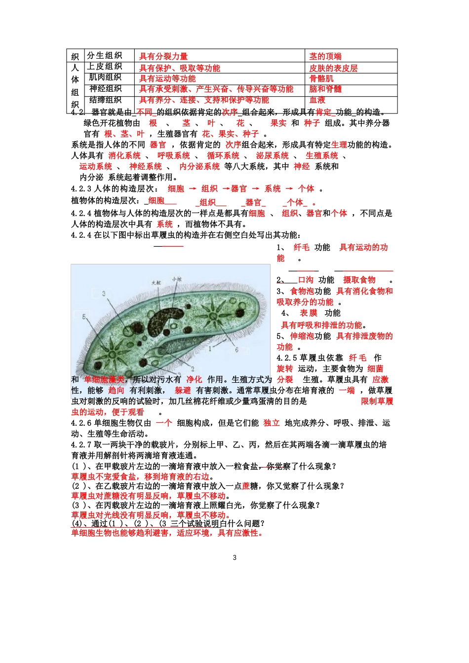 七年级生物(苏教版)上学期知识点总结_第3页