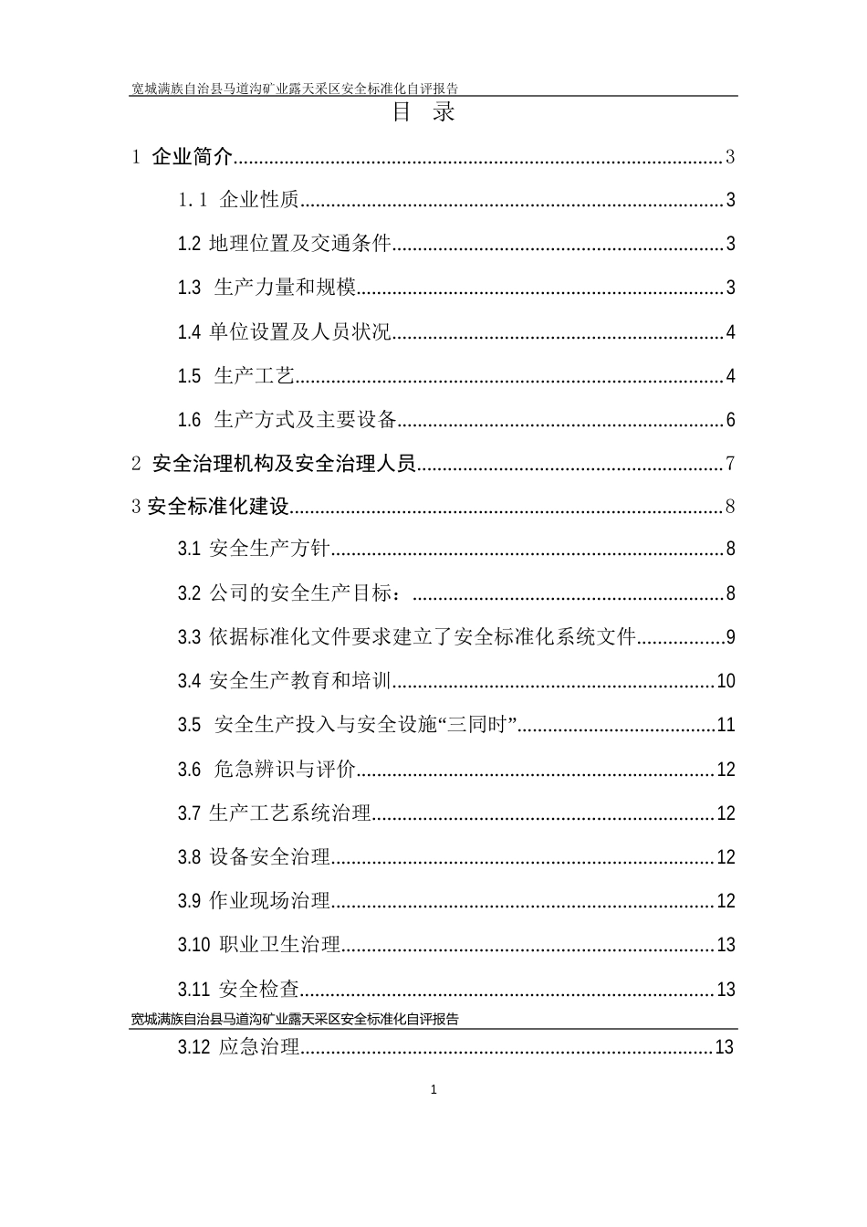 企业自评报告_第3页