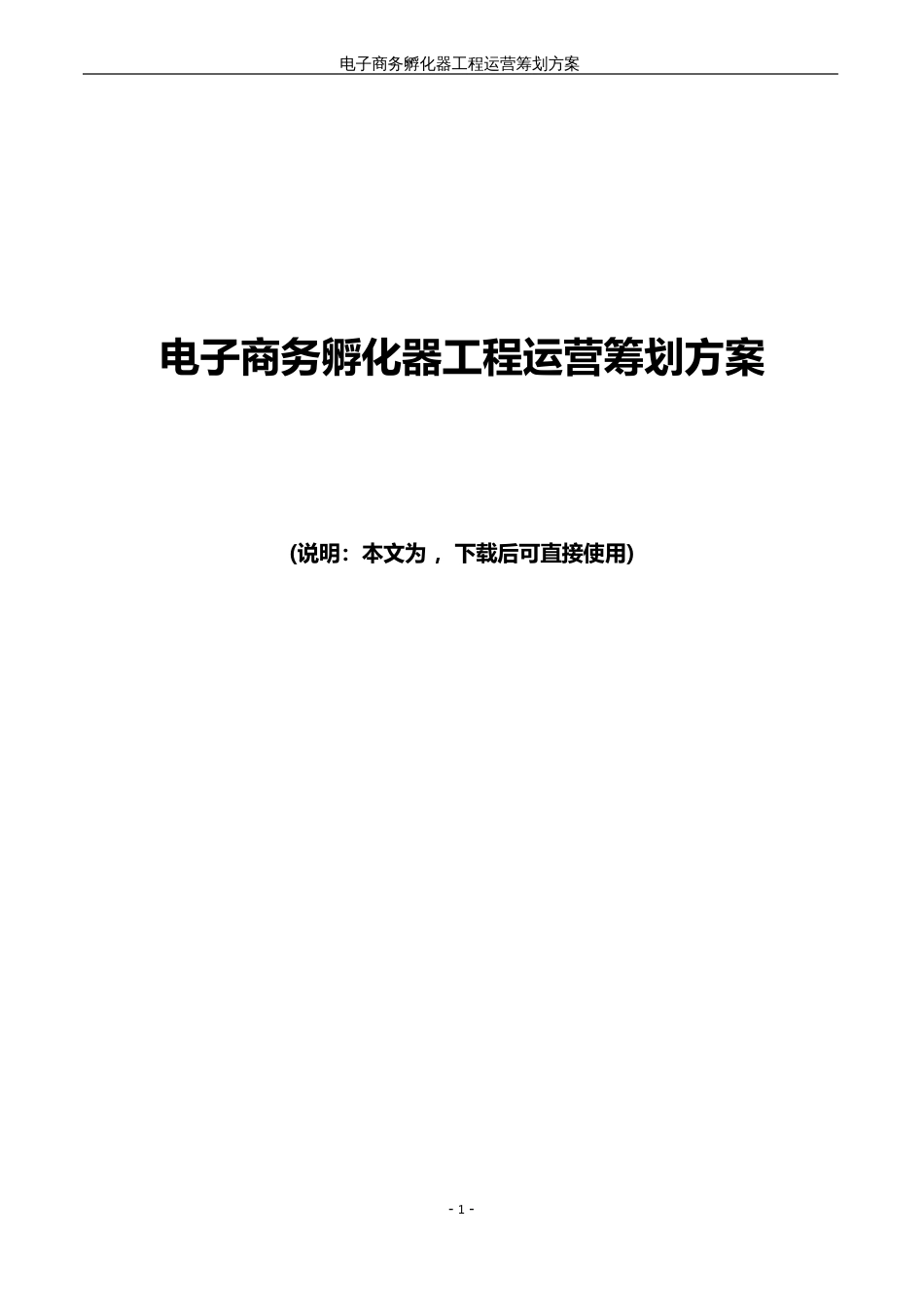 电子商务孵化器项目运营策划方案_第1页