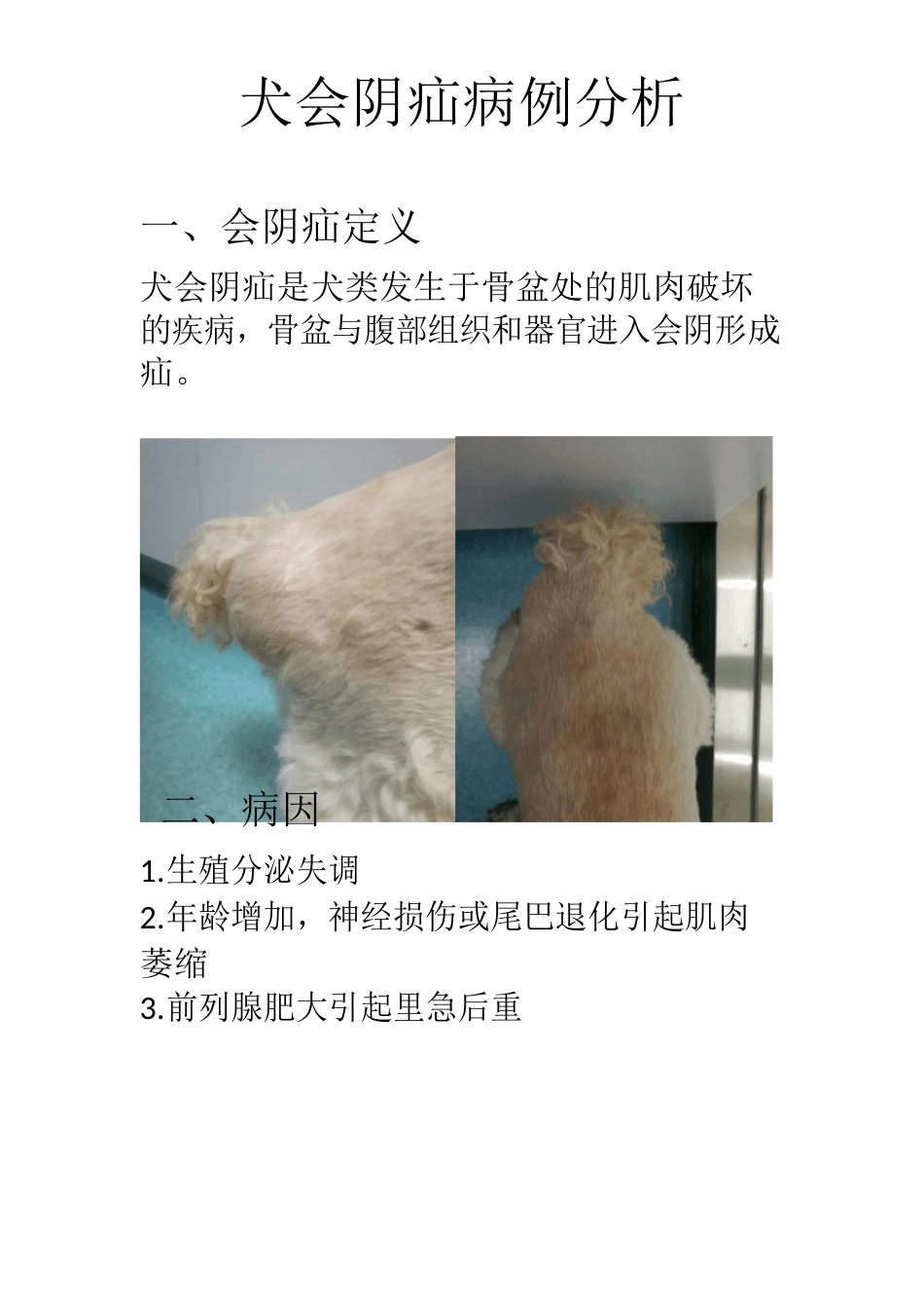 犬会阴疝治疗方案_第1页