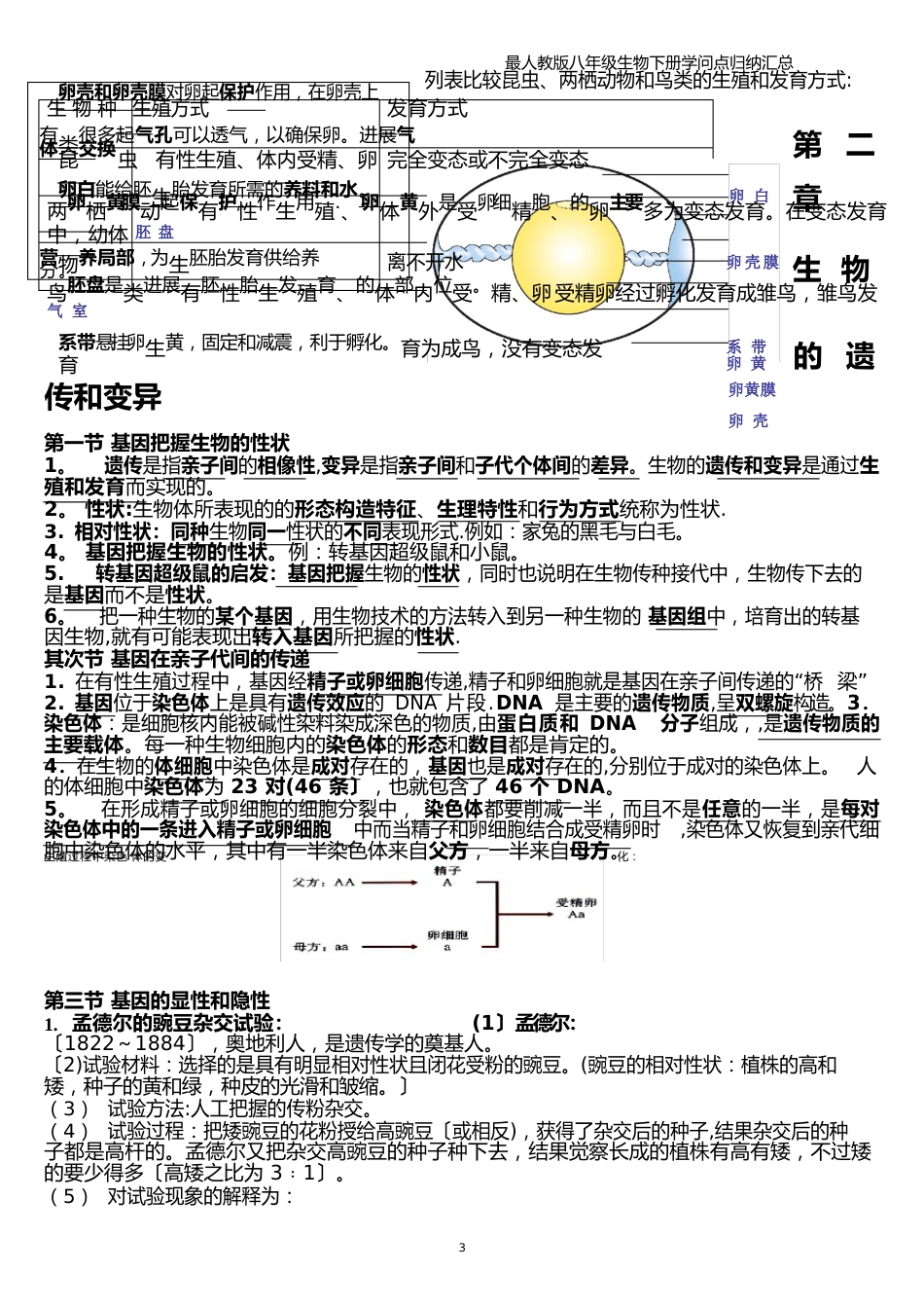 人教版八年级生物下册知识点归纳汇总_第2页