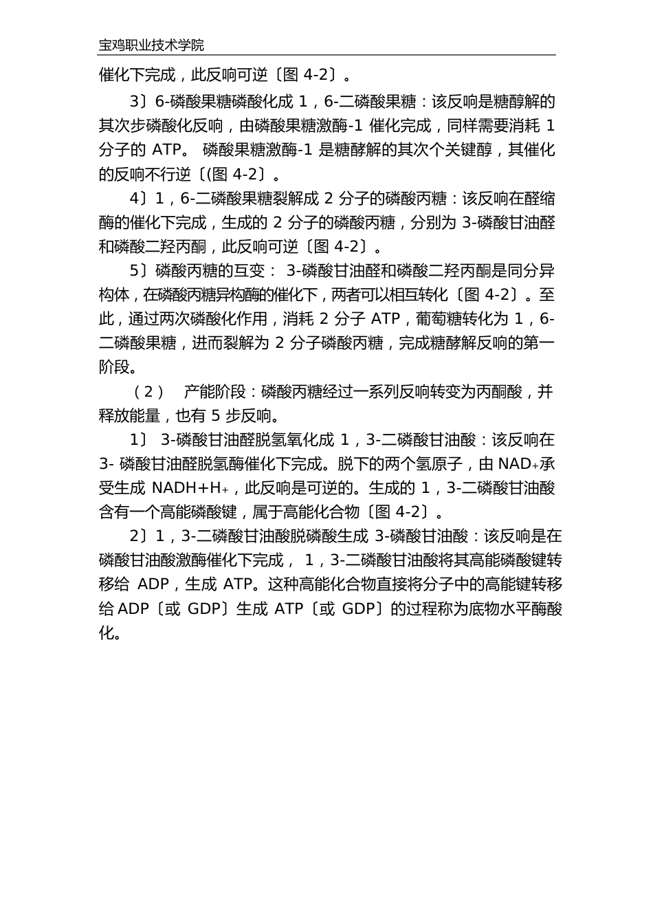 糖的无氧氧化（教案）_第3页