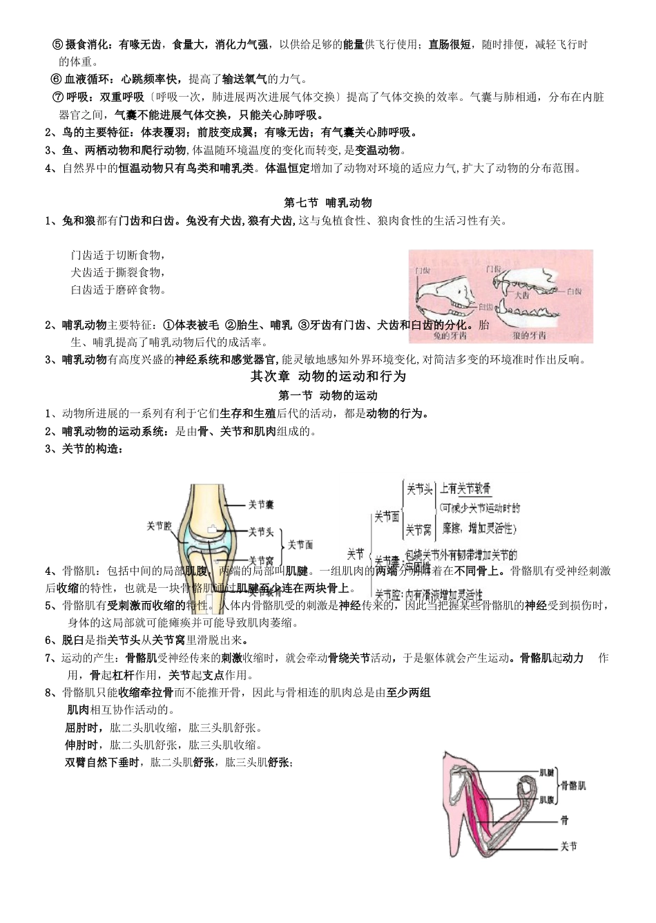 部编人教版八年级生物(上册)知识点总结_第3页