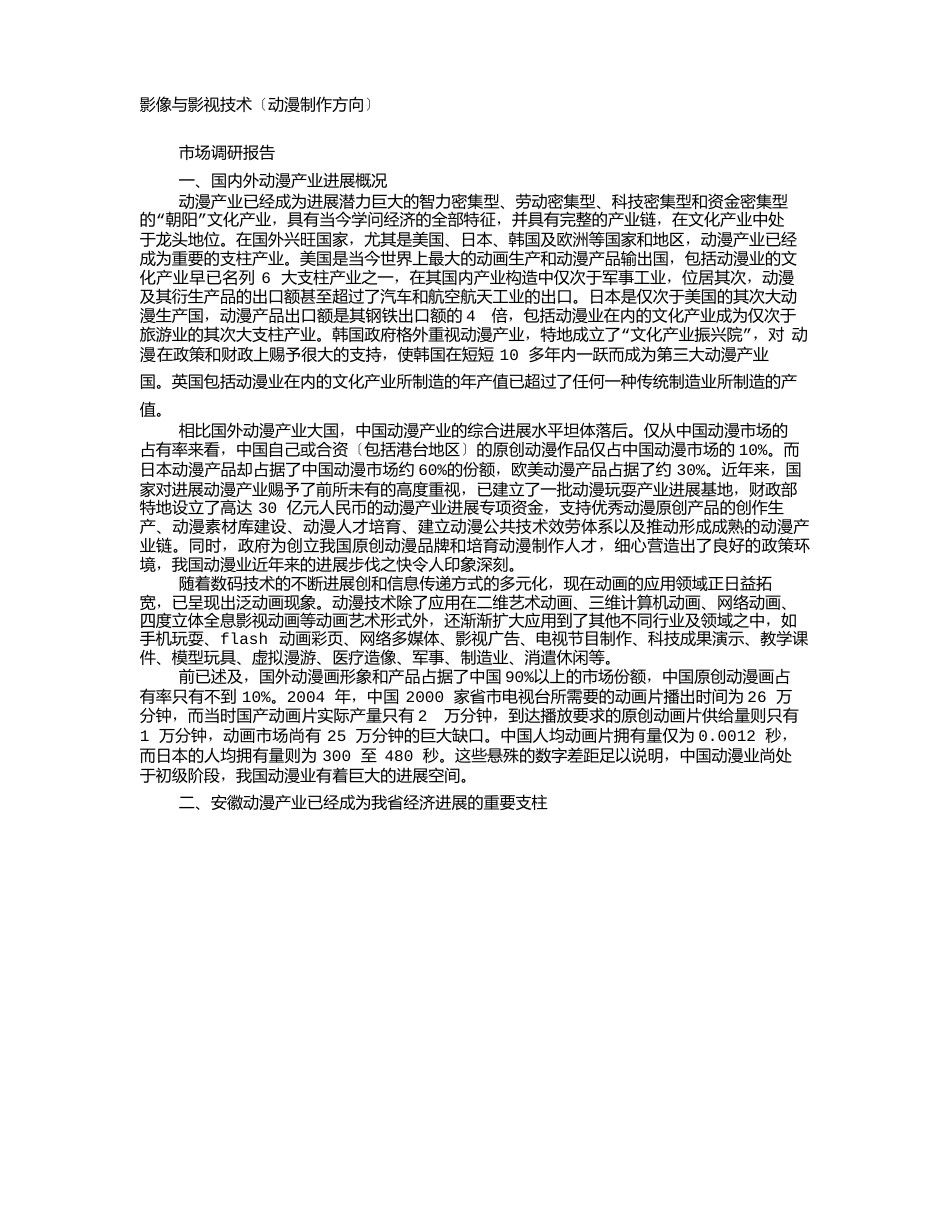 动漫公司调研报告_第1页