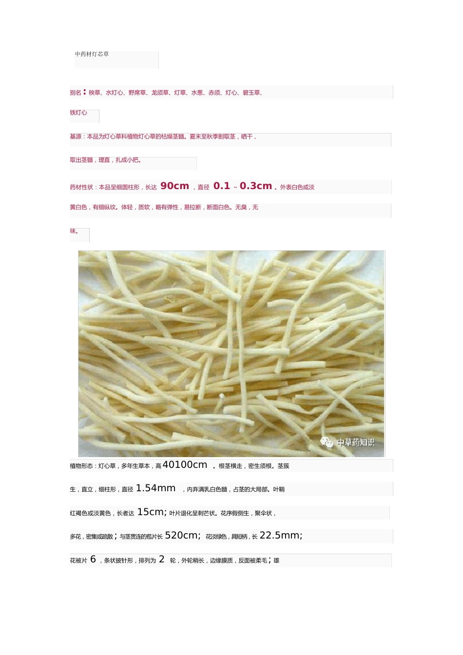 中药材灯芯草_第1页