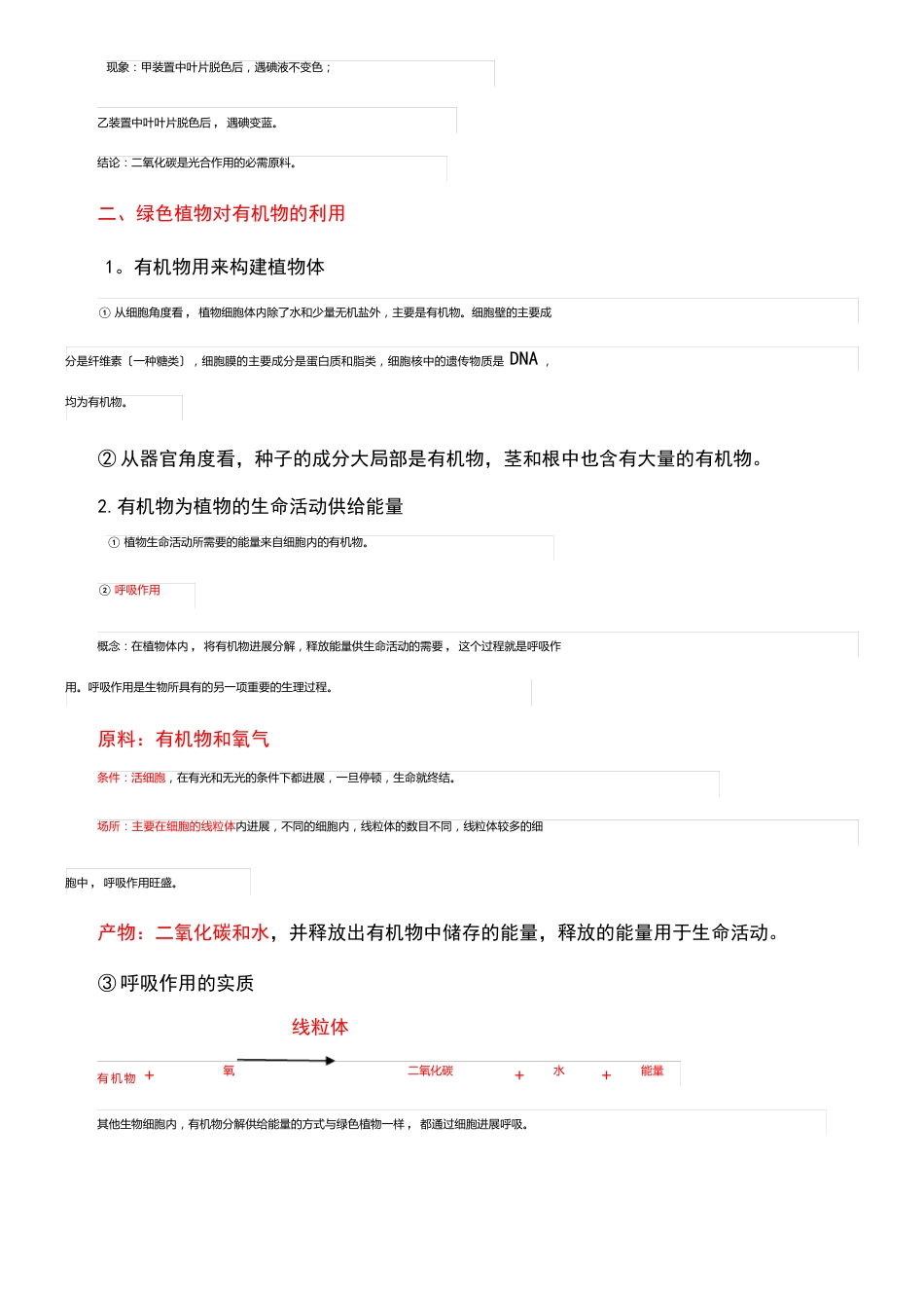 中考生物复习绿色植物的光合作用和呼吸作用知识点总结新人教版_第3页