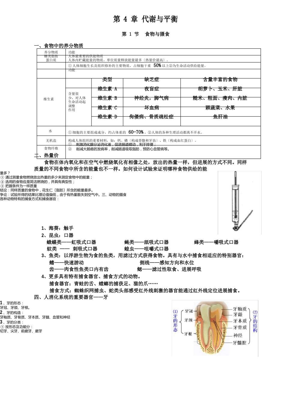 九上科学知识点(复习提纲)_第1页