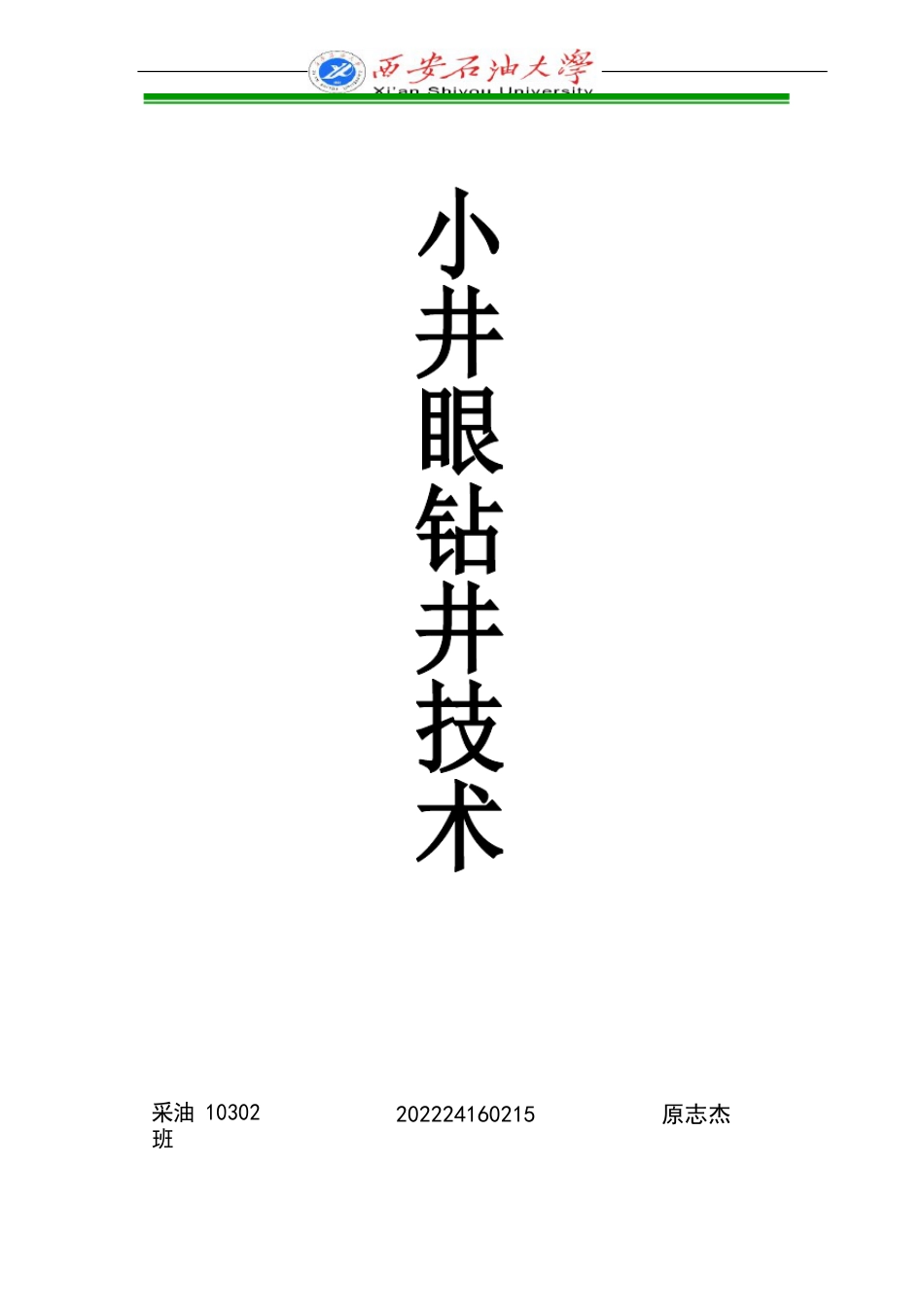 国内外小井眼钻井技术_第1页