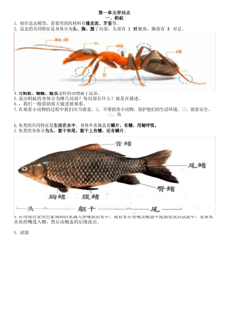 新青岛版科学四年级上册知识点_第1页