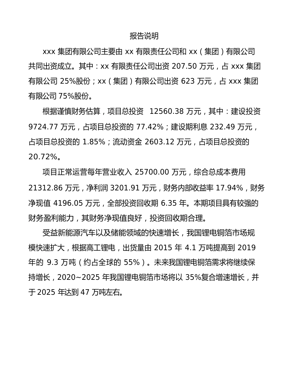 德宏关于成立有色金属新材料公司策划书_第2页