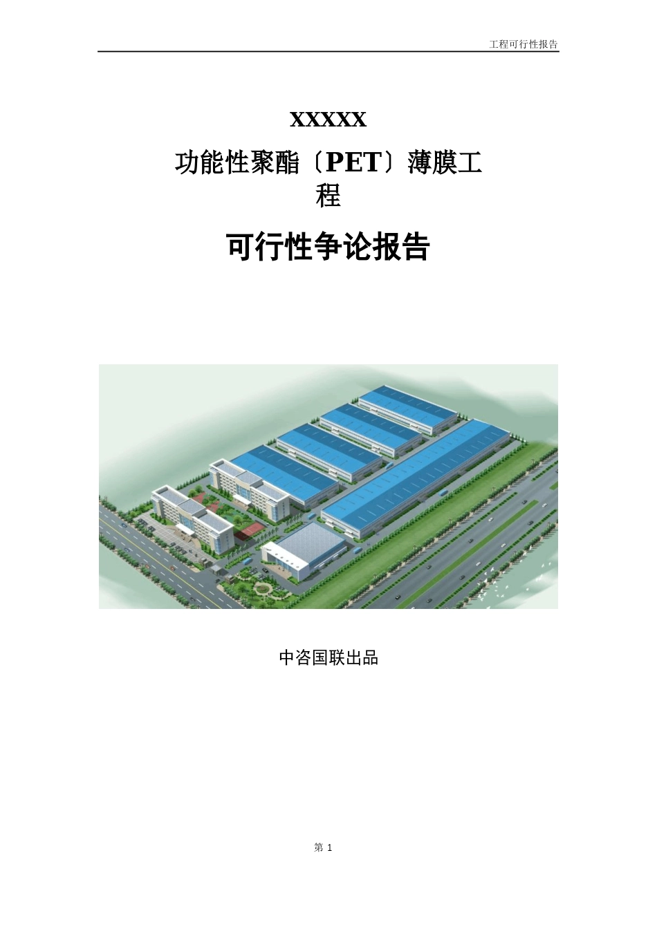 功能性聚酯(PET)薄膜项目可行性研究报告_第1页