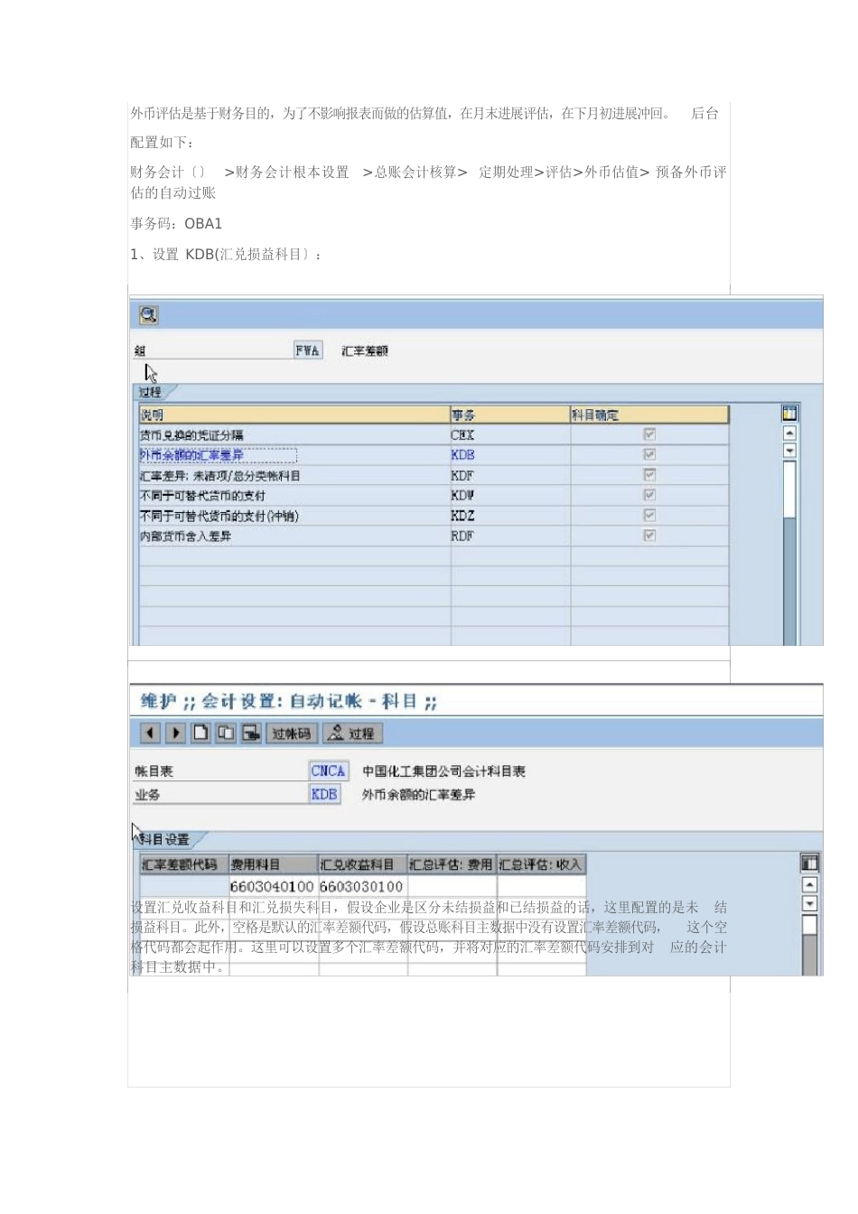 SAP外币评估操作_第1页