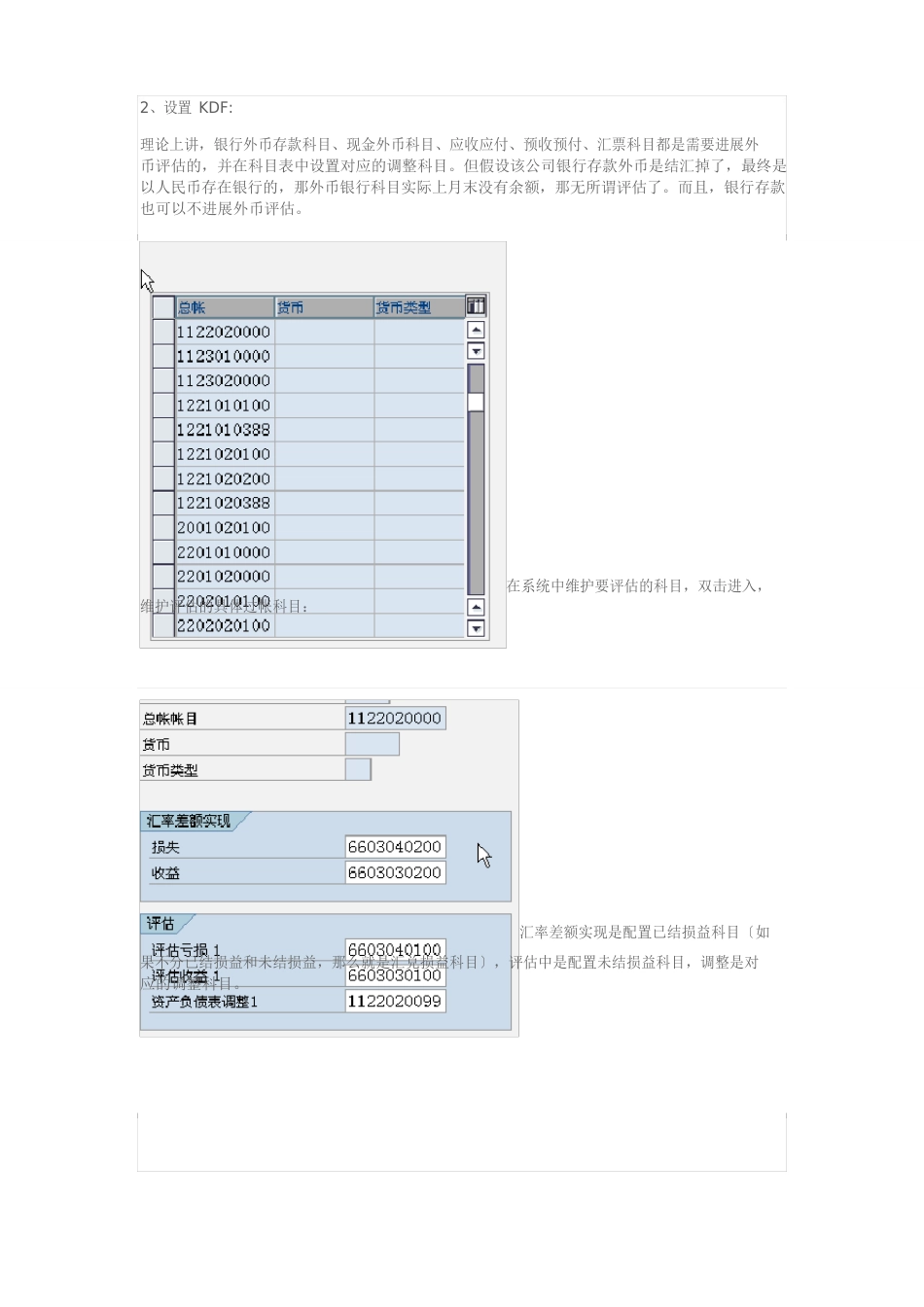 SAP外币评估操作_第2页