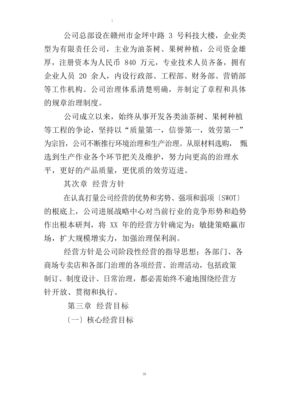 运营计划书模板_第2页