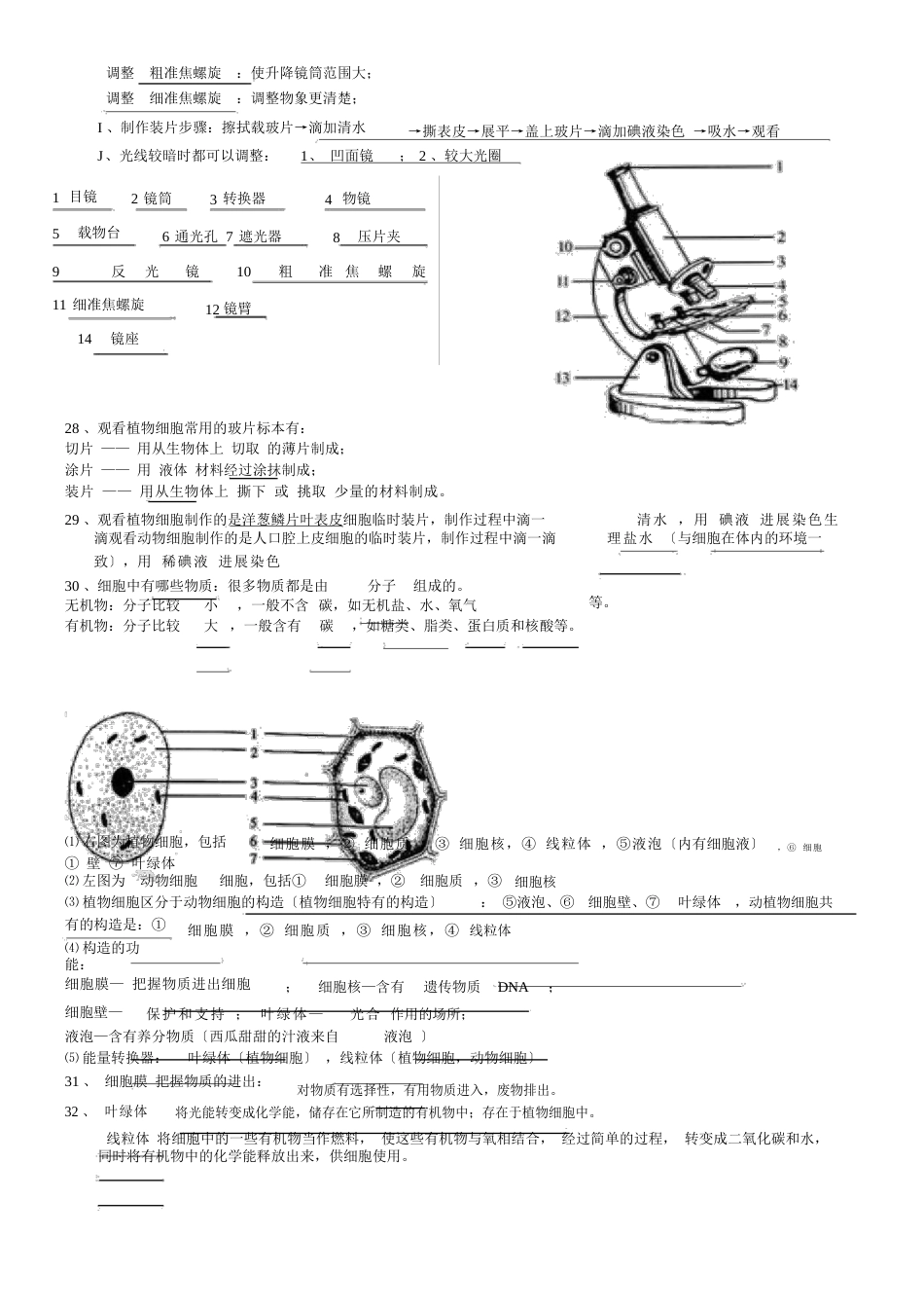 生物七上期末知识点默写带答案_第3页