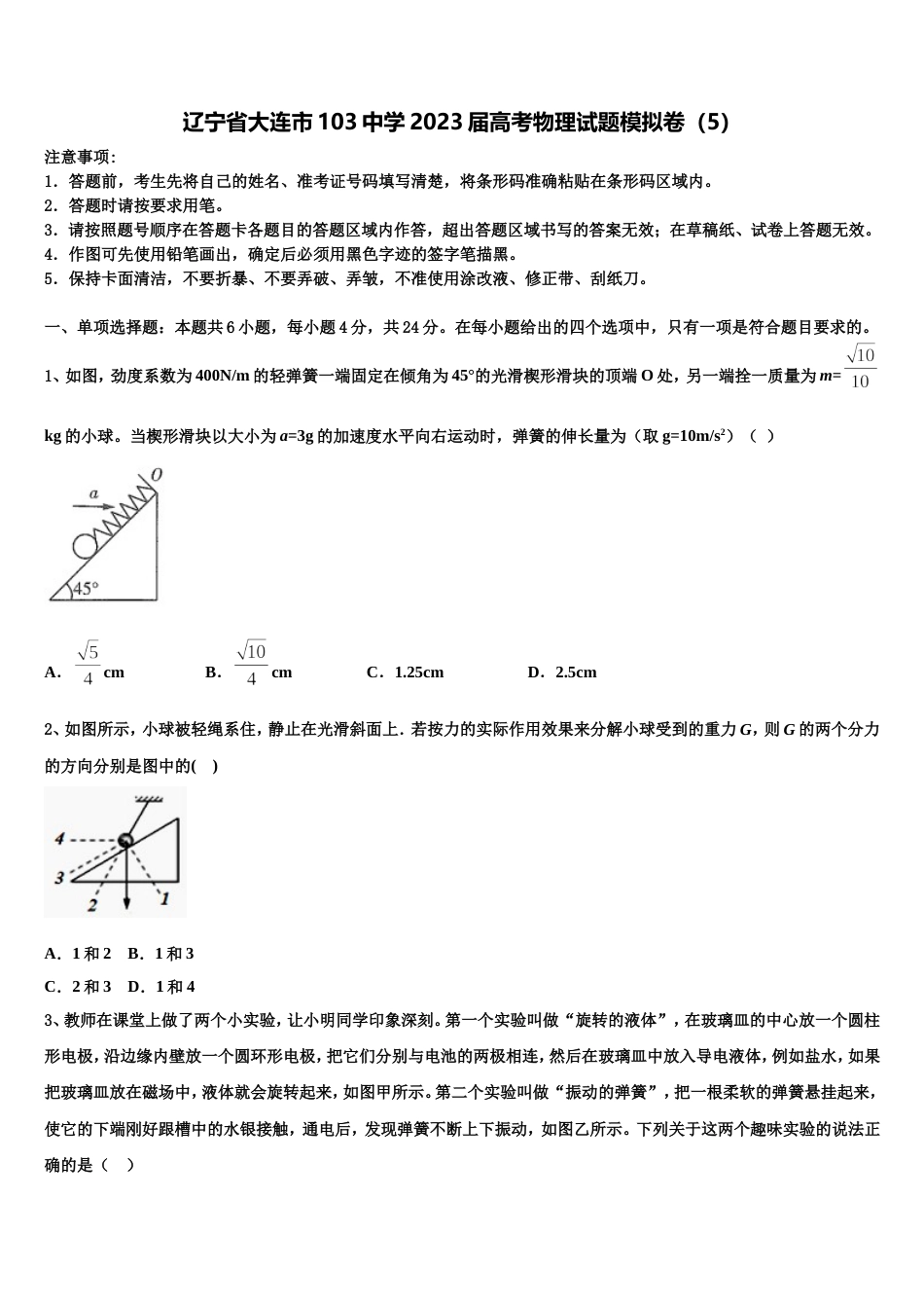 辽宁省大连市103中学2023届高考物理试题模拟卷（5）_第1页