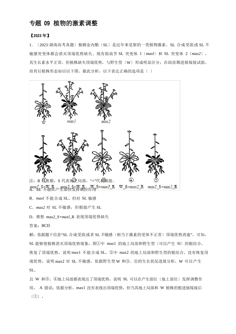 植物的激素调节(2023年)高考生物真题分项详解解析_第1页