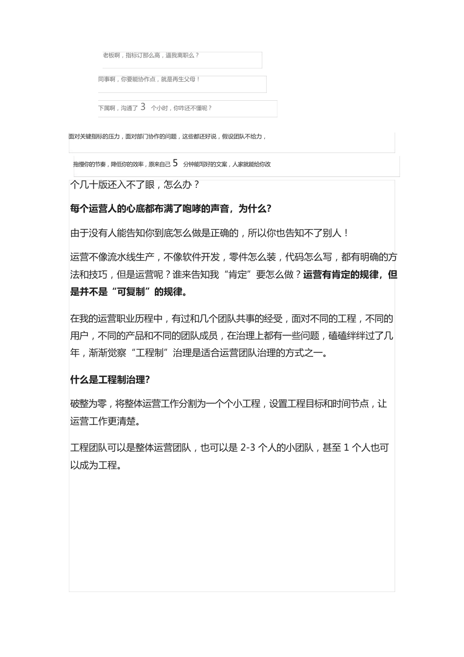 项目运营管理方案_第2页
