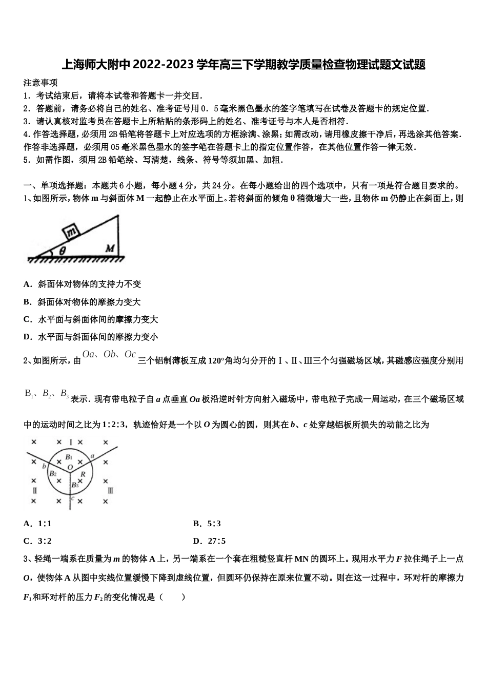 上海师大附中2022-2023学年高三下学期教学质量检查物理试题文试题_第1页