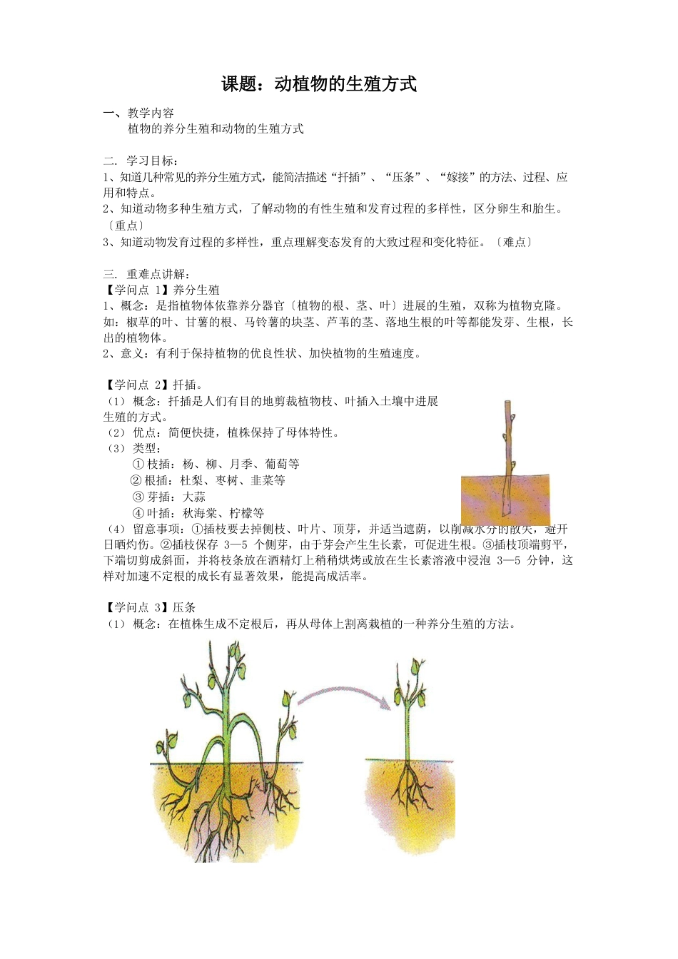 动植物的繁殖方式_第1页