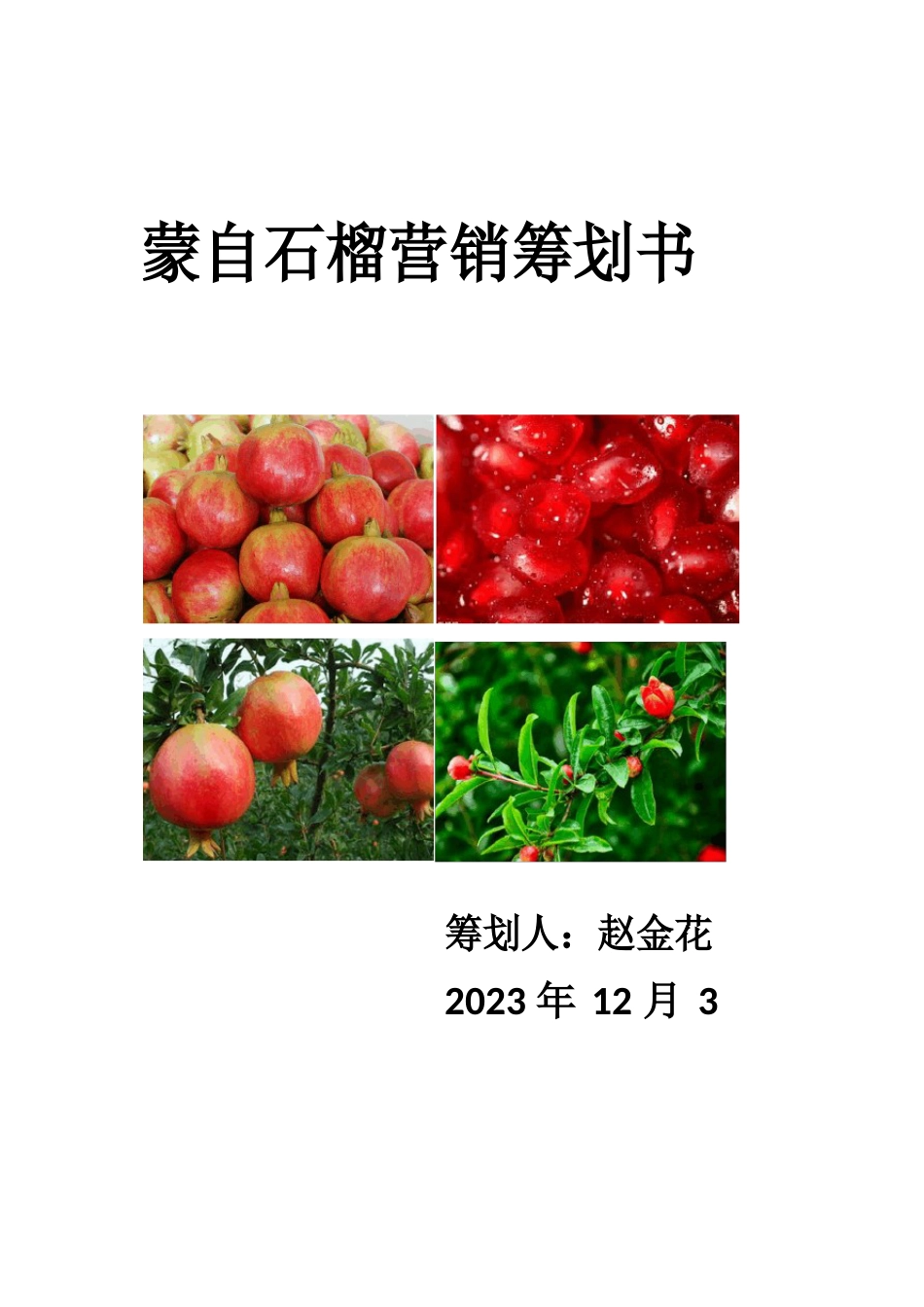 蒙自石榴营销策划方案_第1页