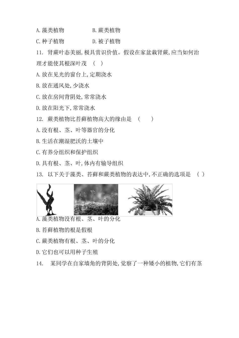 七年级生物上册《藻类、苔藓和蕨类植物》测试卷人教版(含答案)_第3页