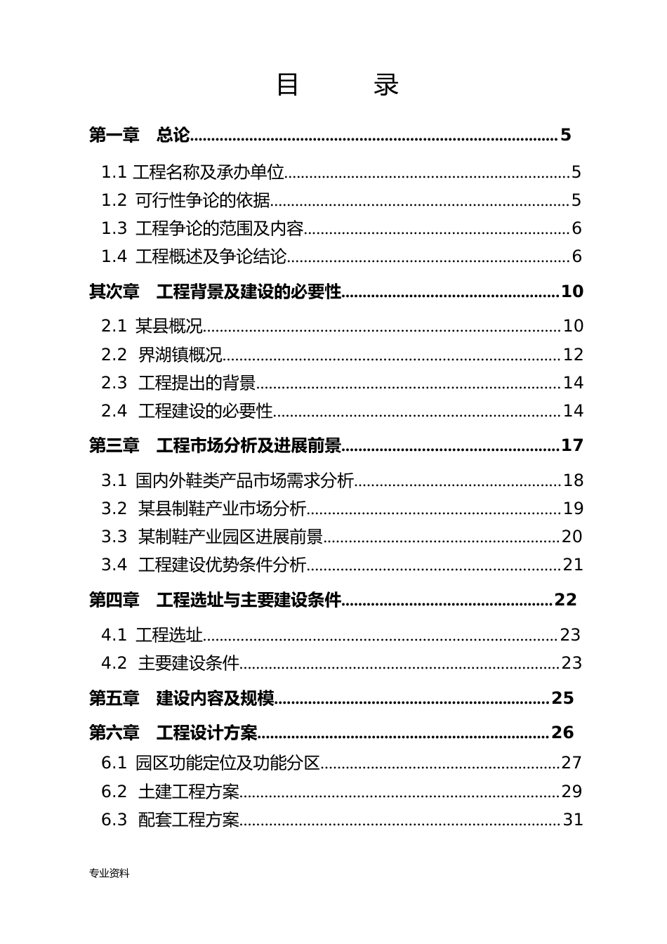 制鞋产业园建设项目可行性研究报告_第2页